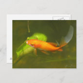 Carte Postale poisson rouge (Devant / Derrière)