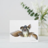 Carte Postale Poisson rouge noir (Carassius auratus) (Debout devant)