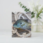 Carte Postale Poisson rouge sur quai et corde (Debout devant)