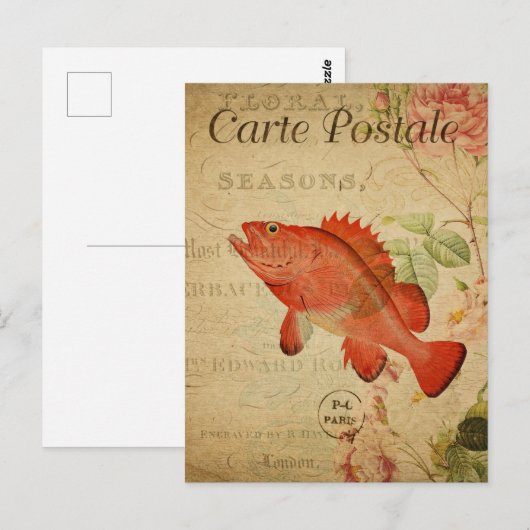 Carte Postale Poisson rouge vintage Sepia Orange (Devant / Derrière)