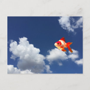 Carte Postale poisson rouge volant