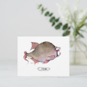 Carte Postale Poisson roux, tony fernandes (Debout devant)
