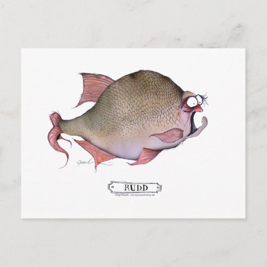 Carte Postale Poisson roux, tony fernandes (Devant)