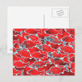 CARTE POSTALE POISSON SAUMON REDS (Devant / Derrière)