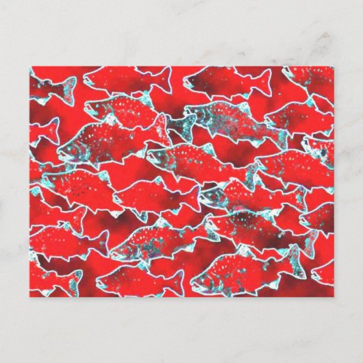 CARTE POSTALE POISSON SAUMON REDS (Devant)