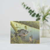 Carte Postale Poisson-soleil (Debout devant)