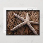 Carte Postale Poisson sur bois de chauffe (Devant / Derrière)