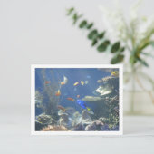 Carte Postale Poisson tropical (Debout devant)