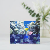 Carte Postale Poisson tropical (Debout devant)