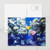Carte Postale Poisson tropical (Devant / Derrière)