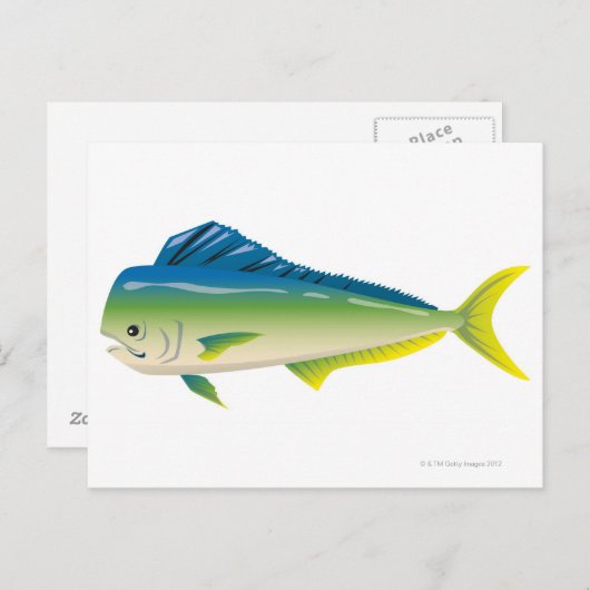 Carte Postale Poisson tropical (Devant / Derrière)