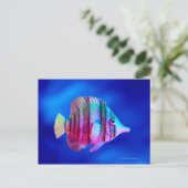 Carte Postale Poisson tropical (Debout devant)