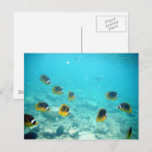 Carte Postale Poisson tropical à Hawaii (Devant / Derrière)