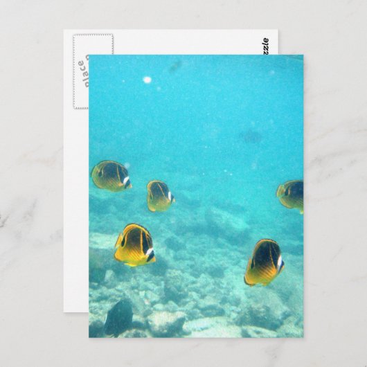 Carte Postale Poisson tropical à Hawaii (Devant / Derrière)