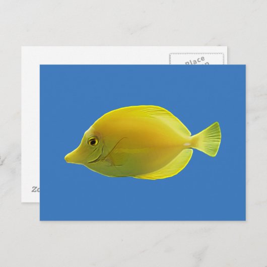 Carte Postale Poisson Tropical Jaune (Devant / Derrière)