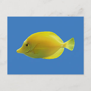 Carte Postale Poisson Tropical Jaune