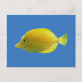 Carte Postale Poisson Tropical Jaune (Devant)