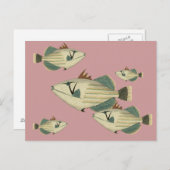 Carte Postale Poisson-verge (Devant / Derrière)