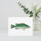 Carte Postale Poisson Vintage (Debout devant)