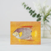 Carte Postale Poisson vintage Hawaiian Angel - Hawaii antique (Debout devant)