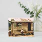 Carte Postale Poisson vivant à vendre (Debout devant)