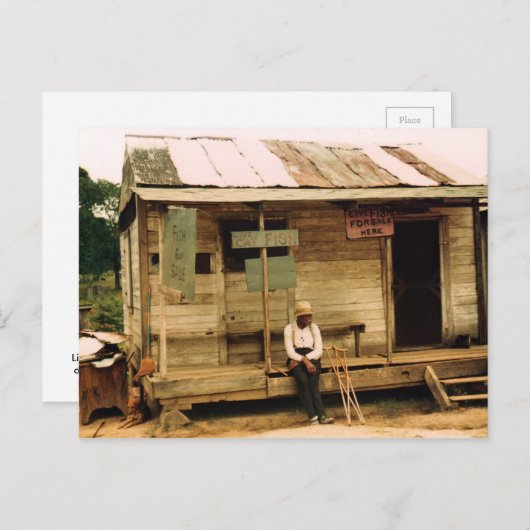 Carte Postale Poisson vivant à vendre (Devant / Derrière)