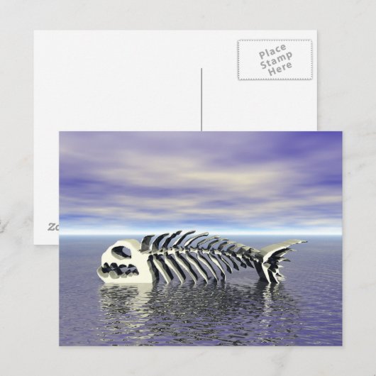 Carte Postale Poissons (Devant / Derrière)