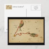 Carte postale Poissons (Devant / Derrière)