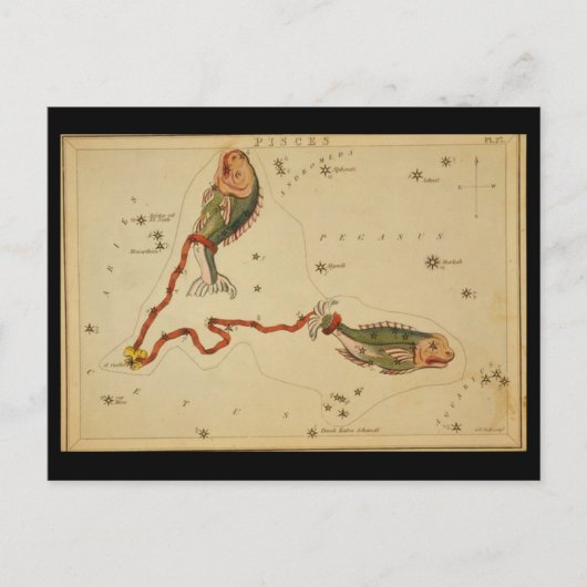 Carte postale Poissons (Devant)