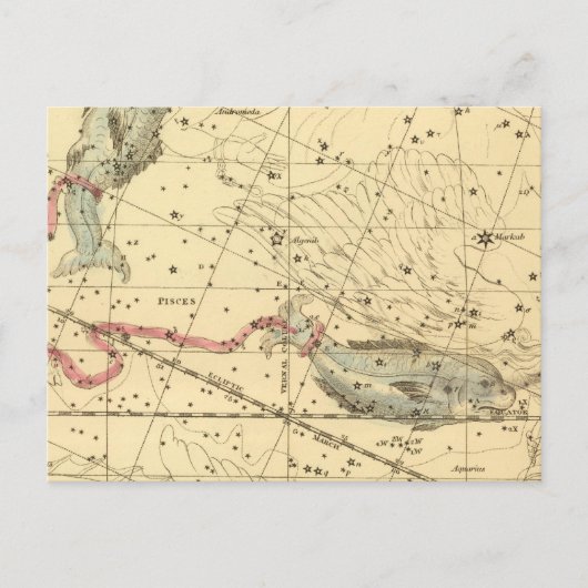 Carte Postale Poissons (Devant)