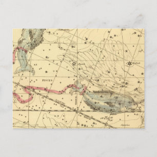 Carte Postale Poissons