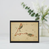 Carte Postale Poissons (Debout devant)