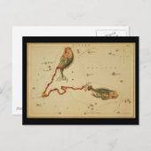 Carte Postale Poissons (Devant / Derrière)