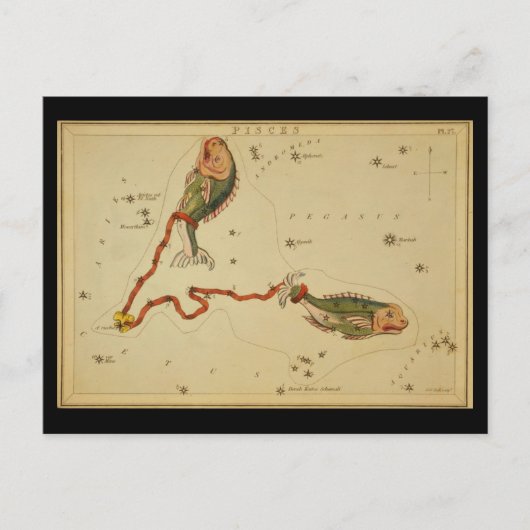 Carte Postale Poissons (Devant)