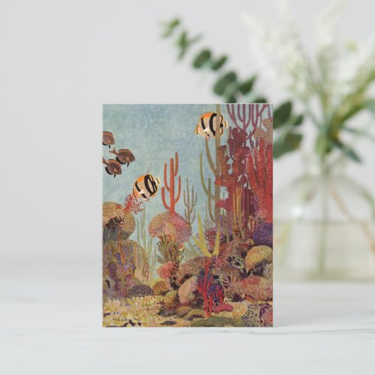 Carte Postale Poissons-anges en corail, poissons tropicaux Vinta (Debout devant)