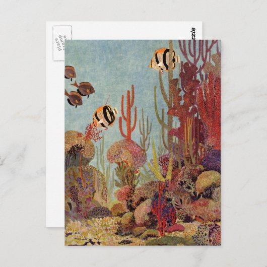 Carte Postale Poissons-anges en corail, poissons tropicaux Vinta (Devant / Derrière)