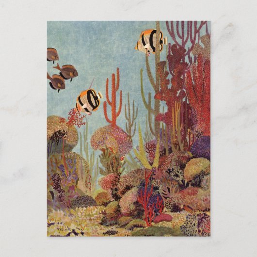 Carte Postale Poissons-anges en corail, poissons tropicaux Vinta (Devant)