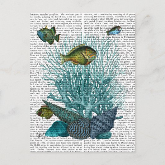 Carte Postale Poissons Bleus Coques et Coraux (Devant)