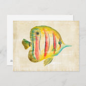 Carte Postale Poissons colorés (Devant / Derrière)