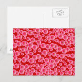 Carte Postale Poissons de Gerber rose (Devant / Derrière)