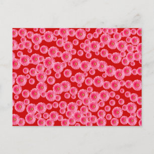 Carte Postale Poissons de Gerber rose