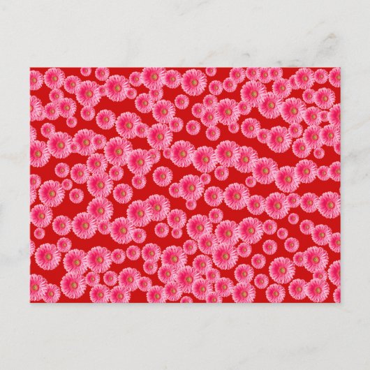 Carte Postale Poissons de Gerber rose (Devant)