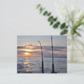 Carte Postale Poissons dessus ! (Debout devant)