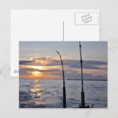 Carte Postale Poissons dessus ! (Devant / Derrière)