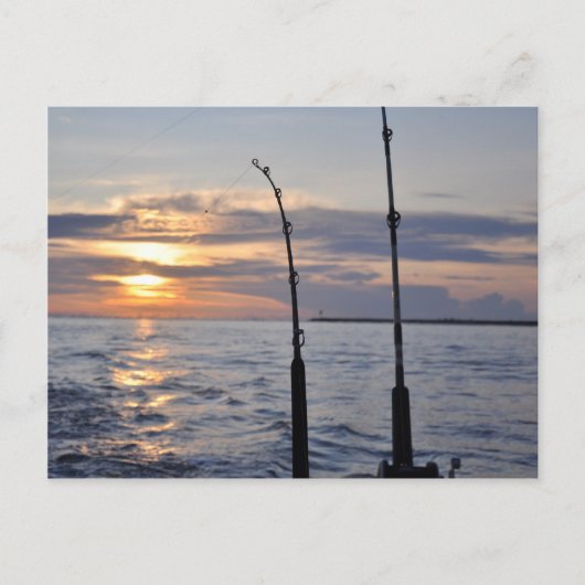 Carte Postale Poissons dessus ! (Devant)