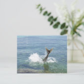 Carte Postale Poissons éclaboussant dans la mer (Debout devant)