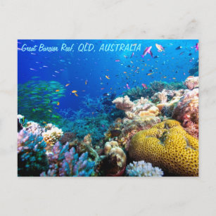 Carte Postale Poissons tropicaux Grande Barrière de corail Mer d