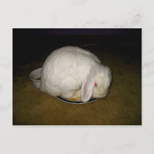 Carte Postale poitrine sur plaque (Devant)