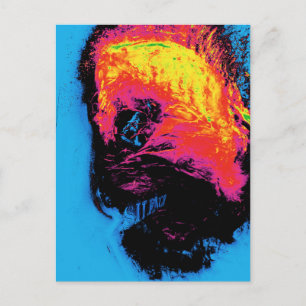 Carte Postale poivre et plastique réduits au silence