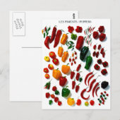 Carte Postale Poivrons (Devant / Derrière)